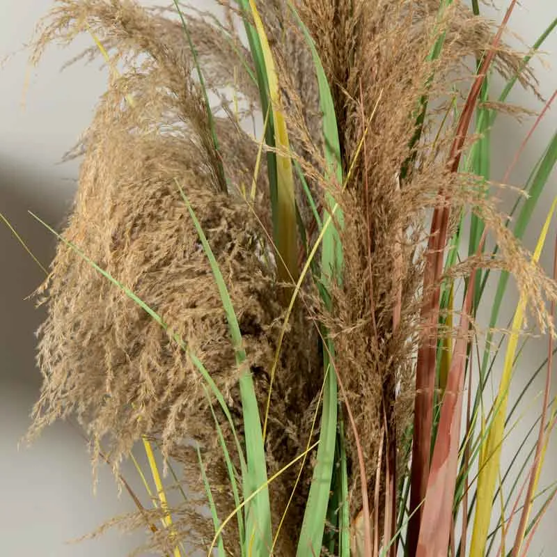 Artificial Colourful Eremurus Grass With Plastic Pot - 91cm