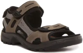 Ecco Offroad In Olive For Men